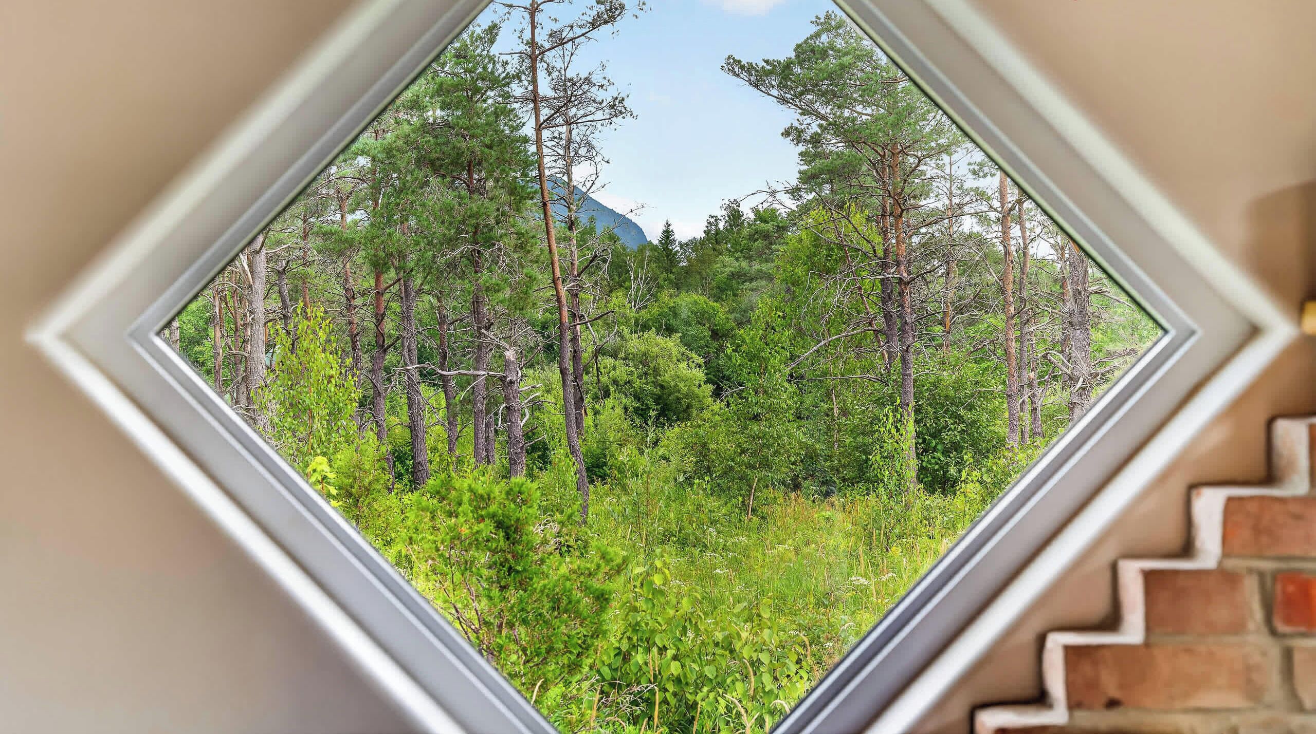 A view through a window of a forested area with a mountain in the background.