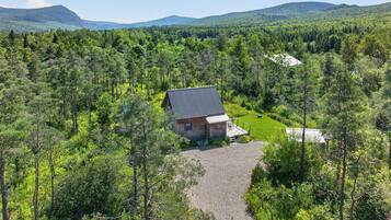A cabin surrounded by dense forest with a gravel driveway leading to the entrance.