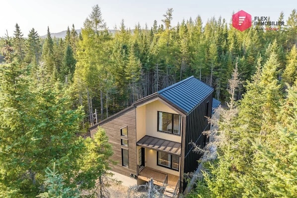 A modern two-story cabin with a metal roof, surrounded by dense forest.