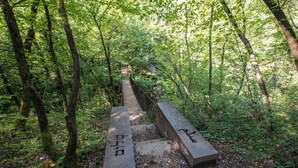 Un área boscosa con un camino de hormigón que lleva a un puente.