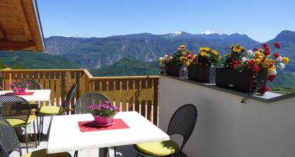 Bright vacation apartment with terrace for a relaxing vacation with mountain views included