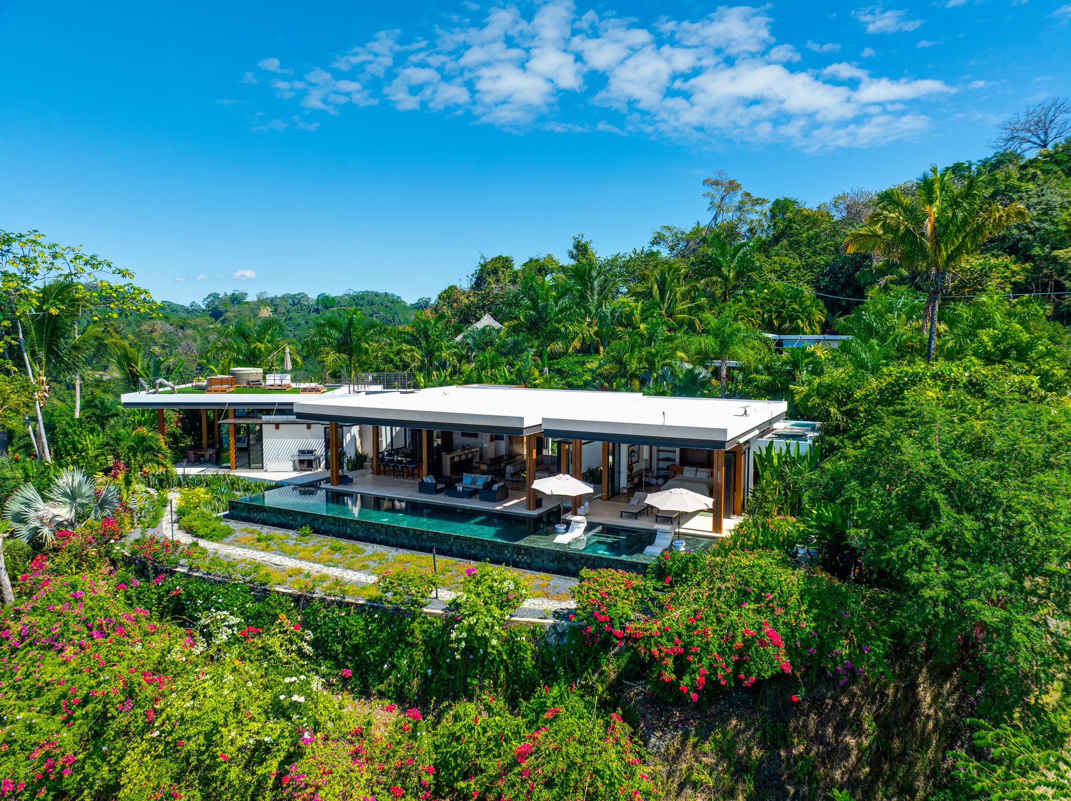 A modern house with a pool, surrounded by lush greenery and tropical plants.