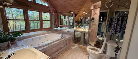 Shower, jetted bath, hair dryer, bidet