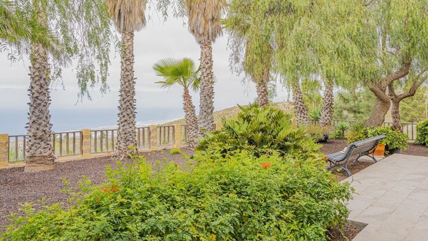 Ein angelegter Garten mit Palmen, einer Bank und Blick auf den Ozean.