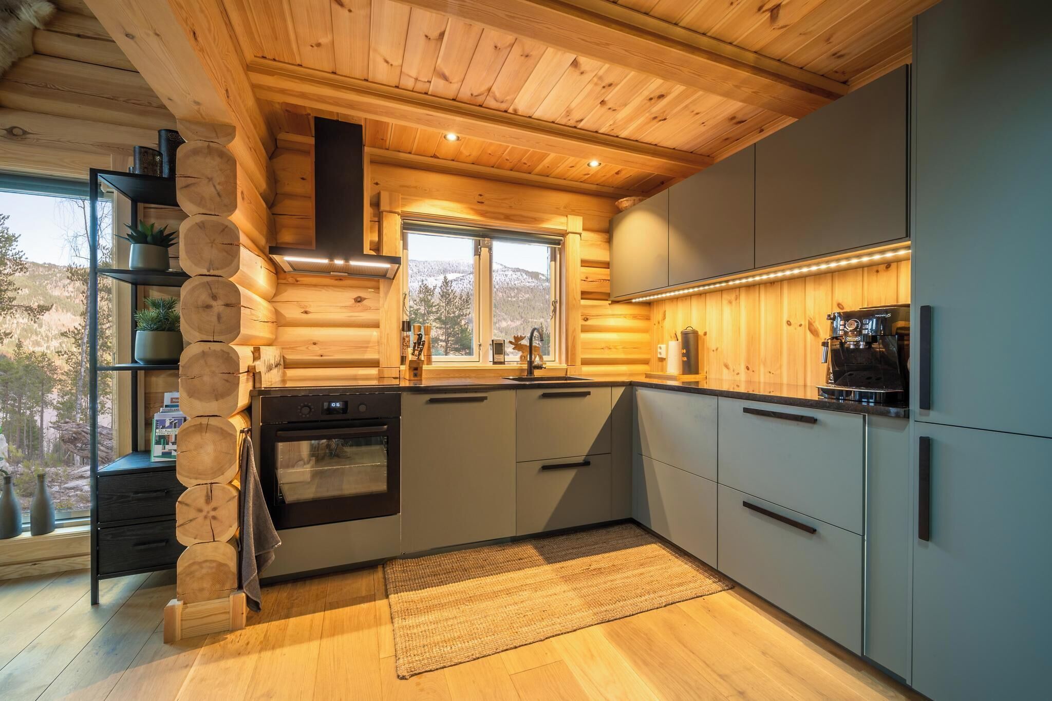 Fridge, microwave, dishwasher, coffee/tea maker