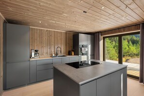 Réfrigérateur, four à micro-ondes, lave-vaisselle, cafetière-théière