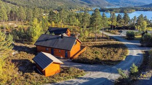 Een chalet met een schuin dak, omgeven door dicht bos en een meer op de achtergrond.