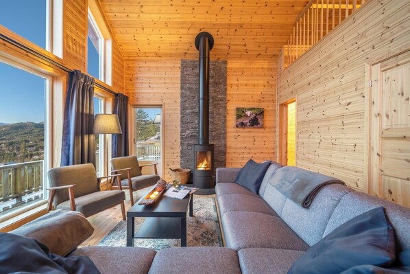 Televisión y chimenea 