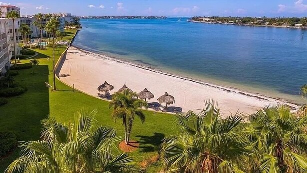 Blick auf einen Strand mit Pool, Palmen und blauem Himmel.