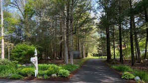 A forested area with a paved path, a mailbox, and a small building in the distance.