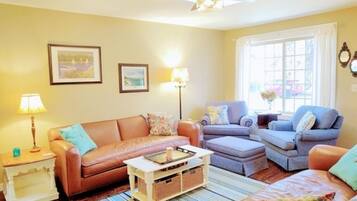 Smart TV, DVD player, books, video library