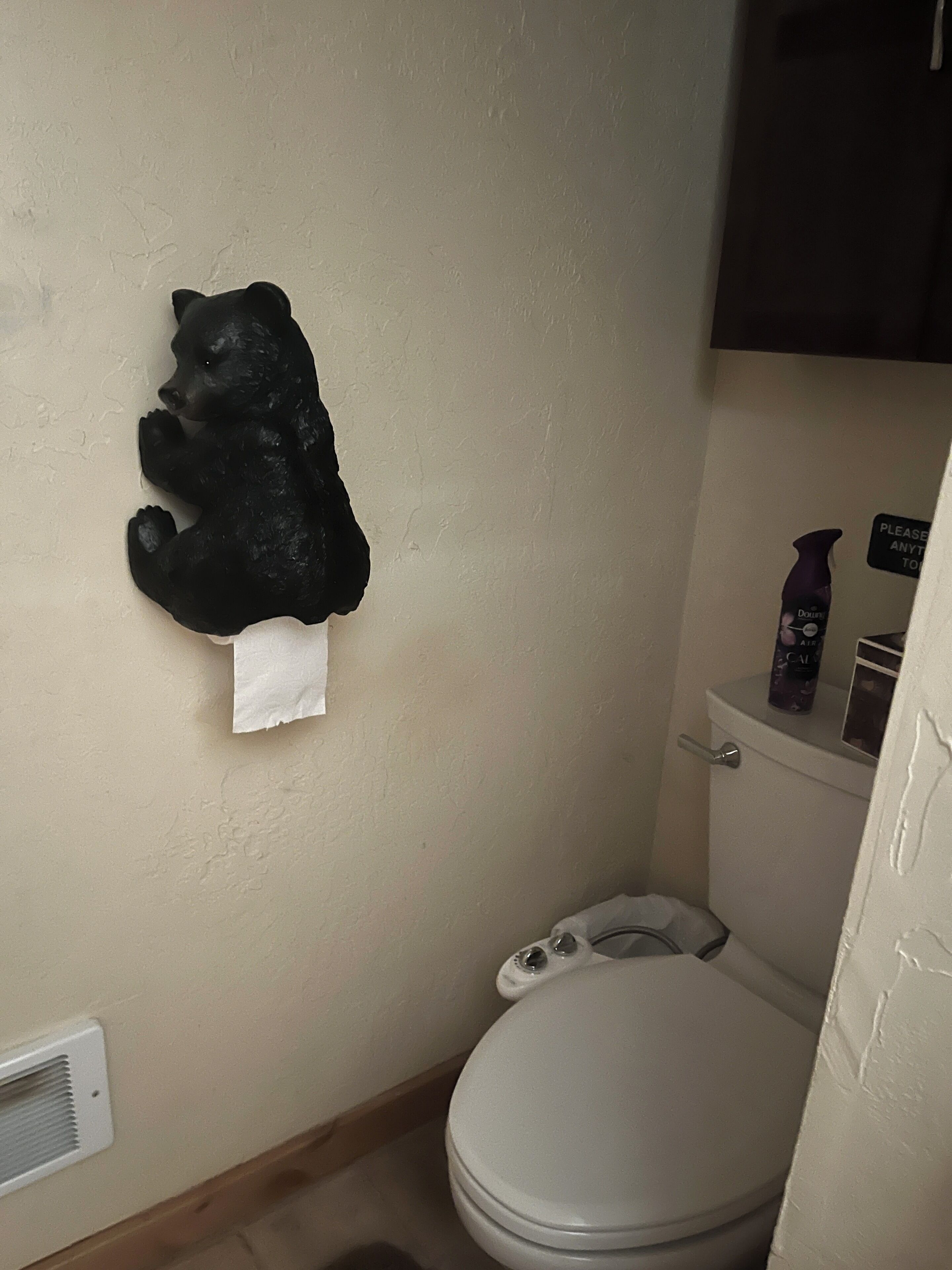 Ein Badezimmer mit Toilette, einem fest montierten Toilettenpapierhalter und einer Toilettenpapierrolle.
