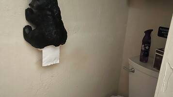 Ein Badezimmer mit Toilette, einem fest montierten Toilettenpapierhalter und einer Toilettenpapierrolle.