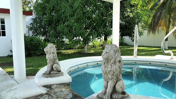 Una statua di leone in pietra vicino a una piscina con bordo piastrellato.