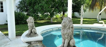 Loft with Private Pool and Large Garden