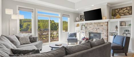 Smart TV, chimenea, reproductor de DVD y libros