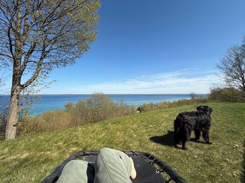 Violet’s View — Where Pets & People Vacation