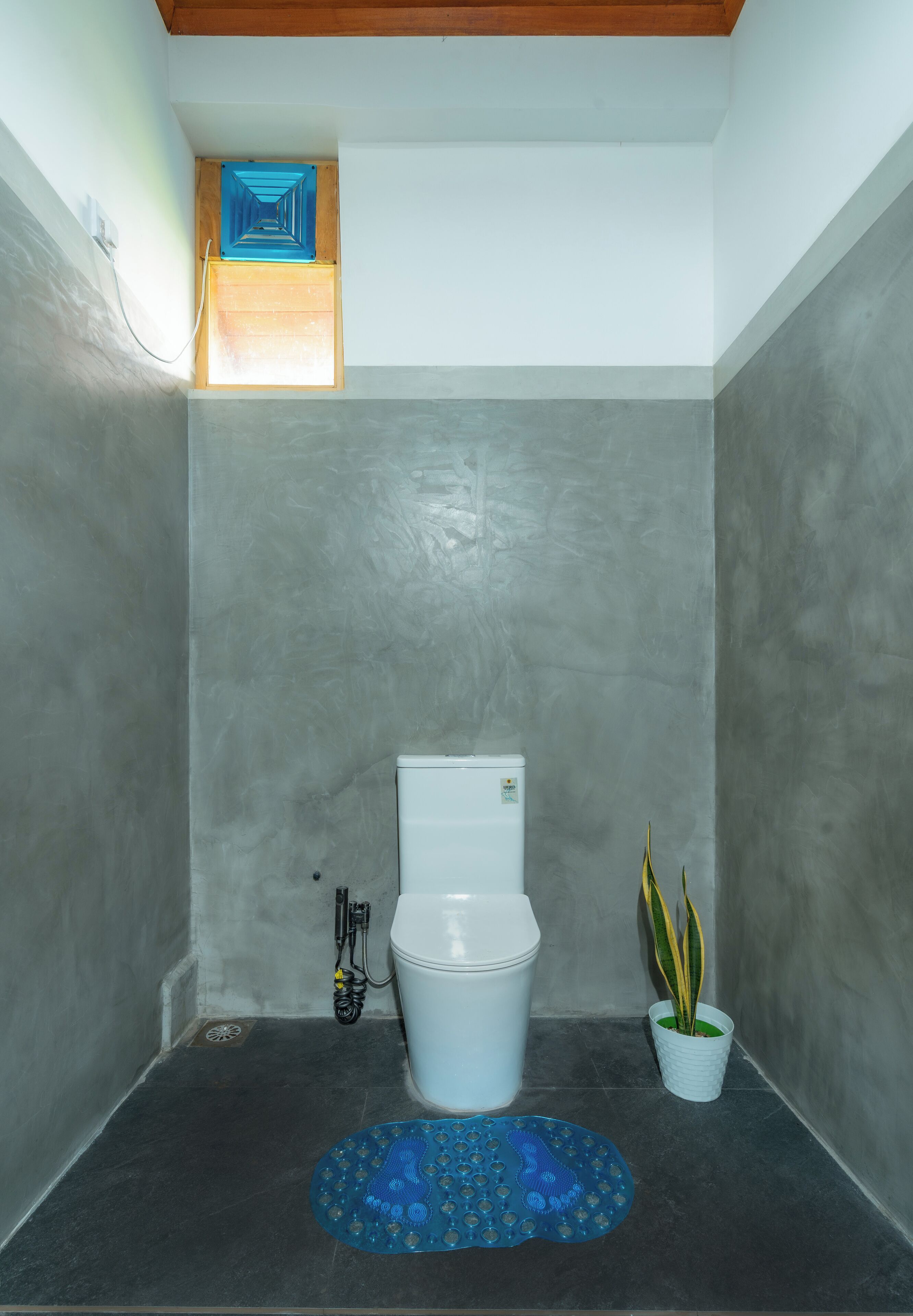 A small bathroom with a toilet, a blue mat, and a potted plant.