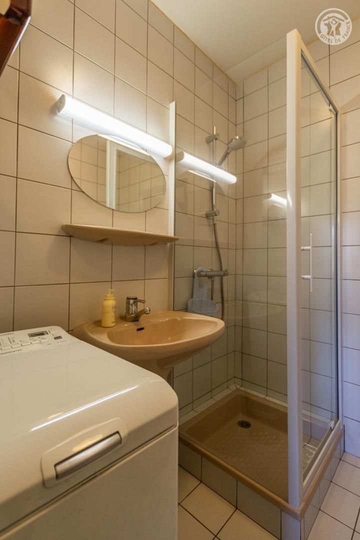 A bathroom with a sink, mirror, shower, and a white washing machine.