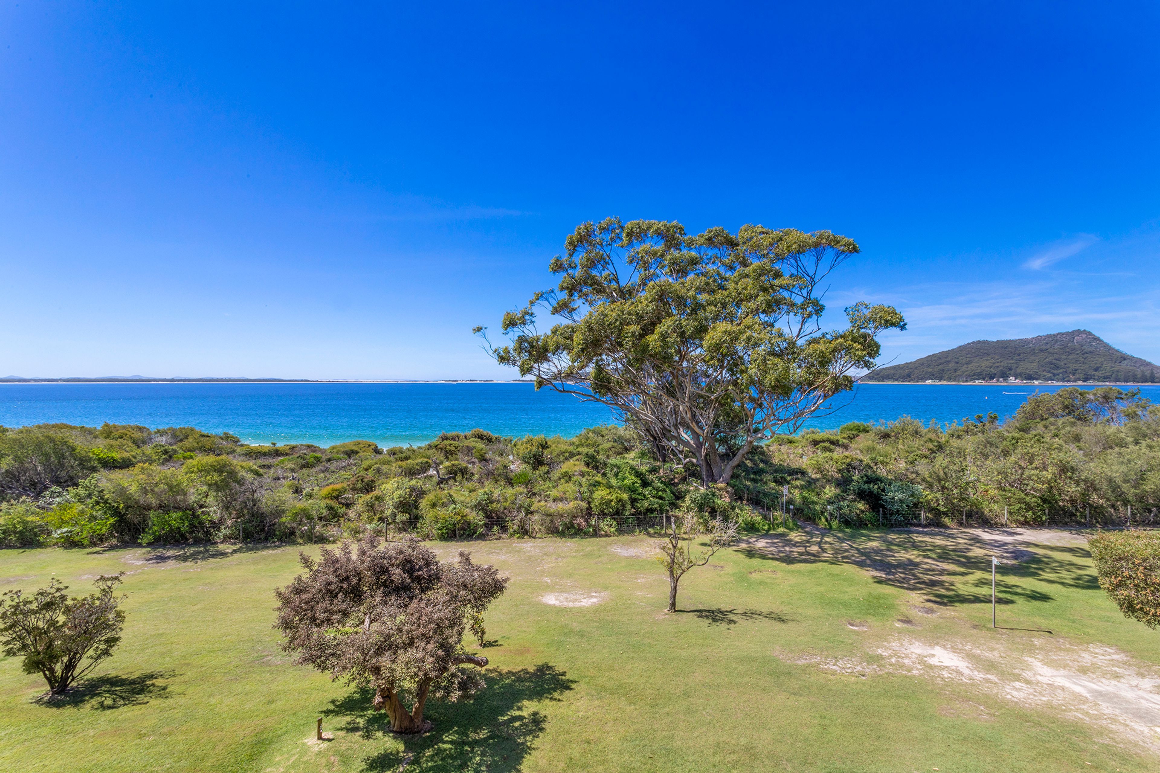 A coastal landscape with a prominent tree, grassy areas, and a clear view of the sea and distant land.