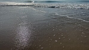 A beach with waves approaching the shore, clear skies, and a calm sea. - Otter Oasis - Serene 3bd pet-friendly sound views (Surf City)