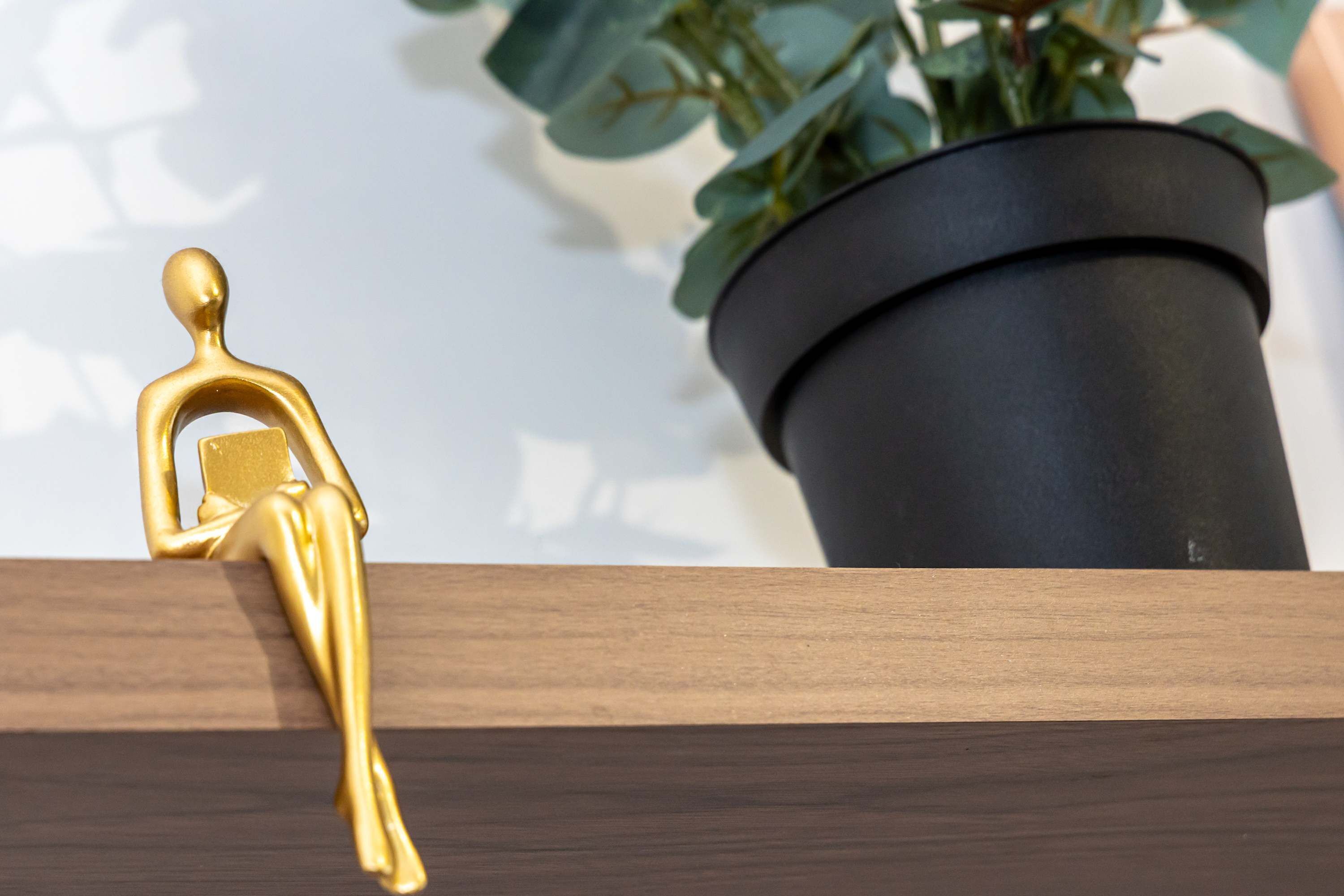 Een goudkleurige metalen haak op een houten oppervlak, een zwarte plant in een pot en een witte muur op de achtergrond.