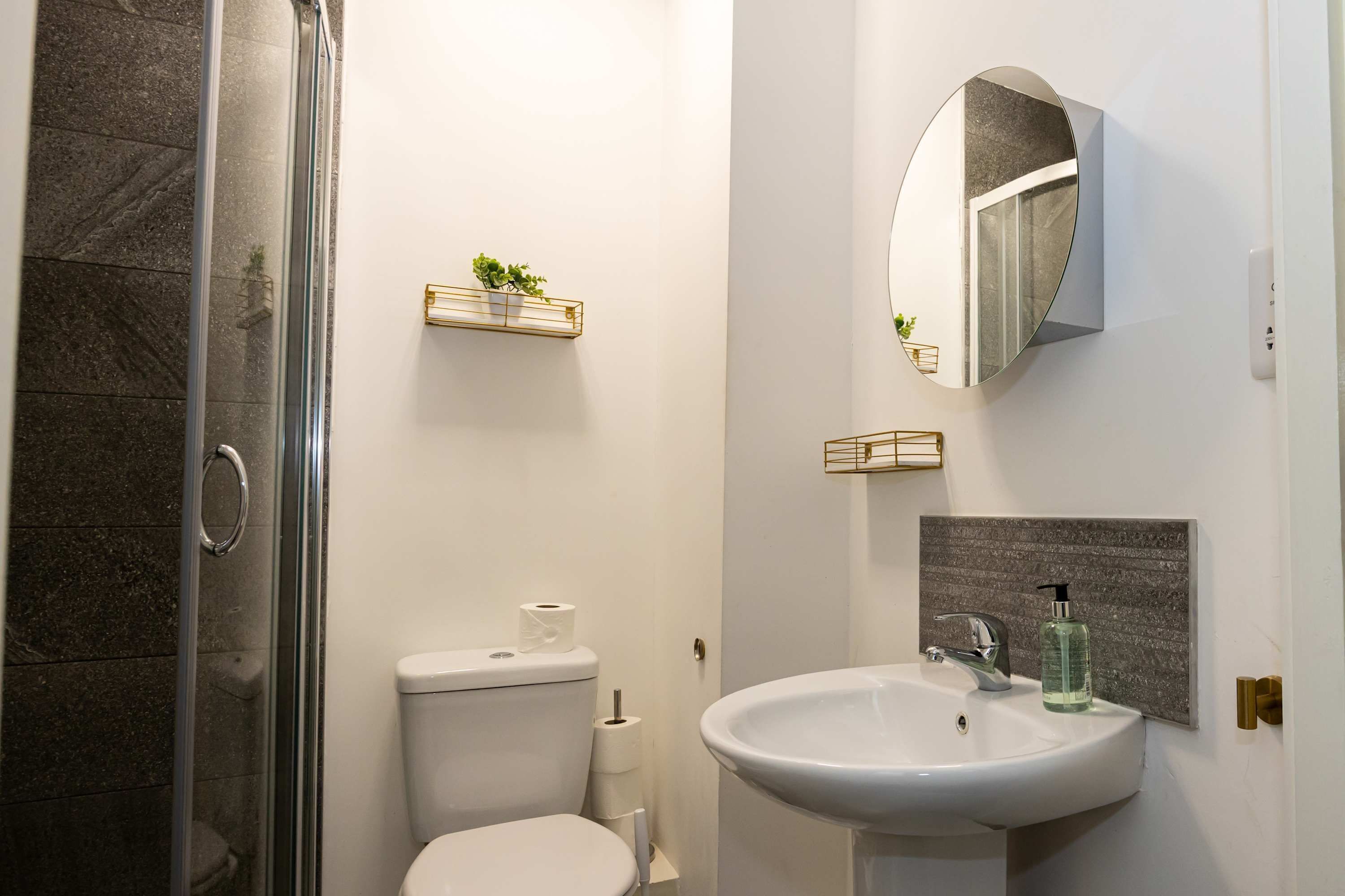 Une salle de bain avec une douche à parois de verre, des toilettes, un lavabo avec un miroir et une petite étagère avec des plantes.