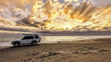 ビーチの近く、サンラウンジャー、ビーチタオル