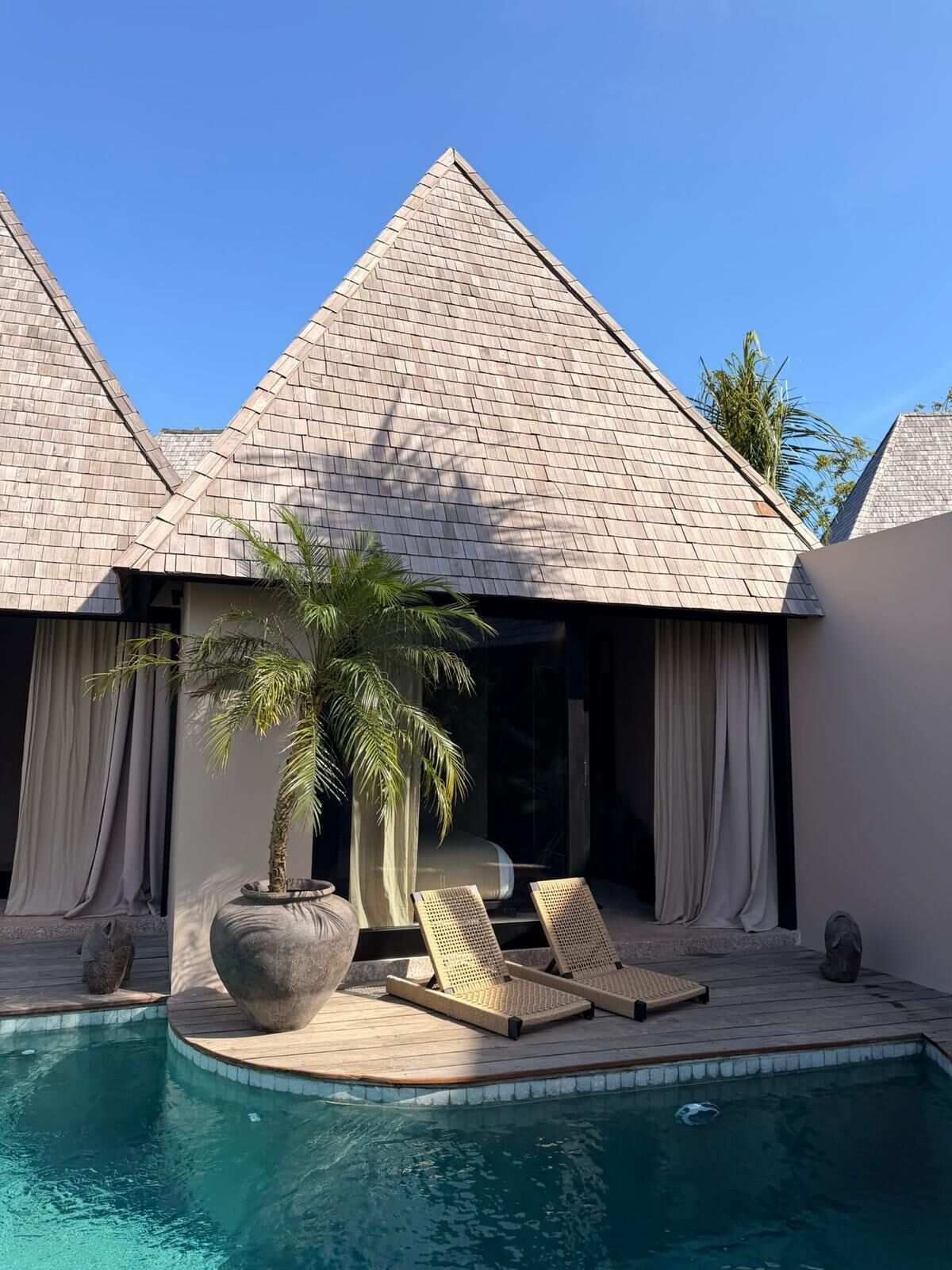 A poolside area with lounge chairs, a palm tree, and a large stone planter.