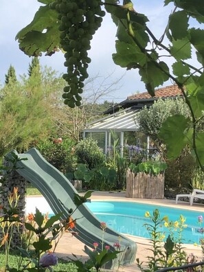 Pool - Lou Sarrat - MIMBASTE (MIMBASTE)