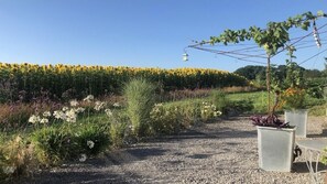 Property grounds - Lou Sarrat - MIMBASTE (MIMBASTE)
