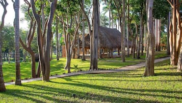Un exuberante jardín con árboles altos y una estructura con techo de paja.