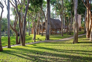 Property grounds - Hacienda Uxmal (Santa Elena)