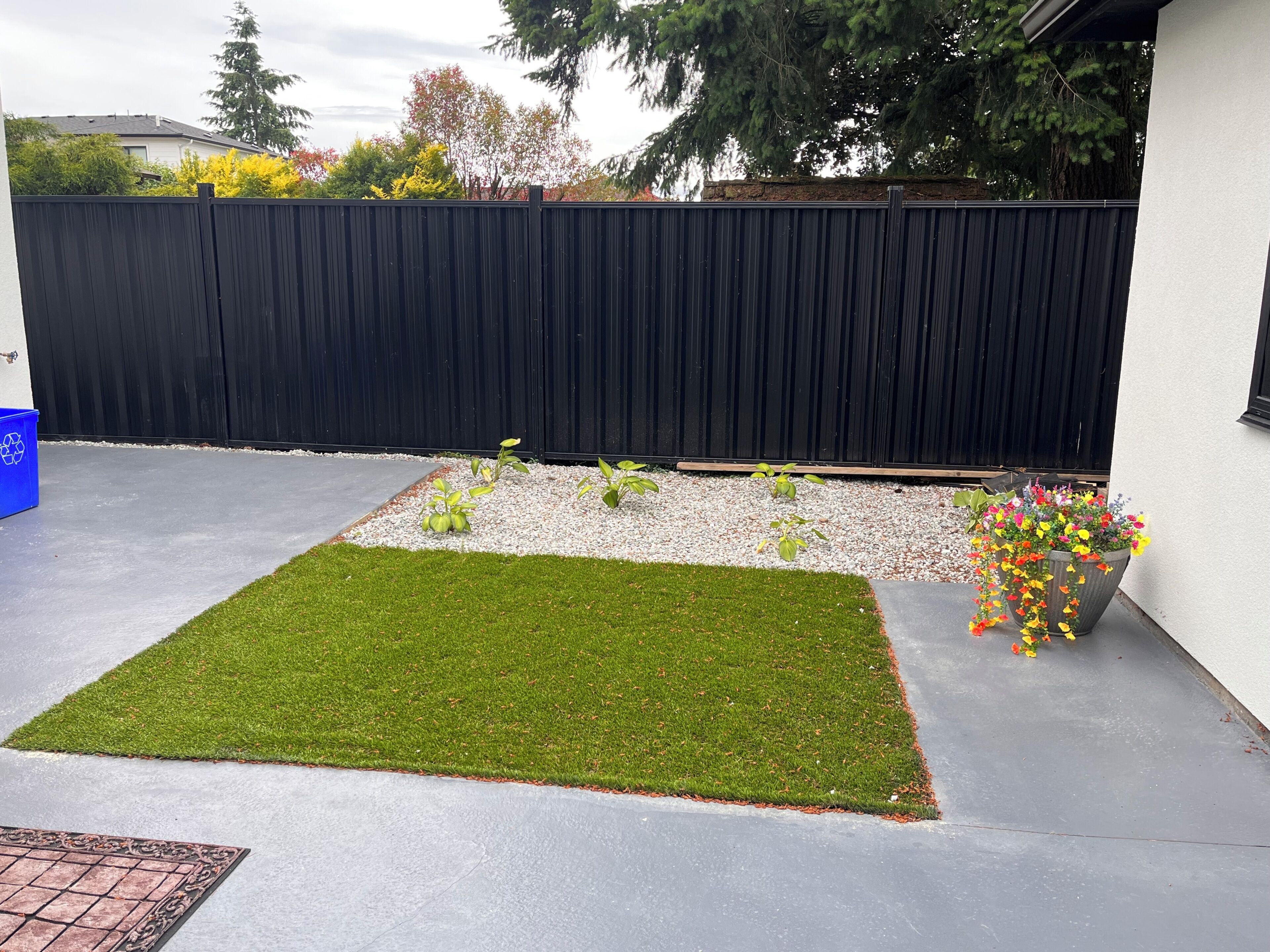 A backyard with a black fence, a grassy area, a flower bed, and a blue recycling bin.