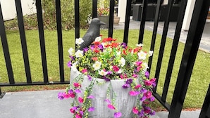 A bird statue on a planter with flowers. - 5-Star 1BR Suite | Free Parking & Fast Wi-Fi (Delta)