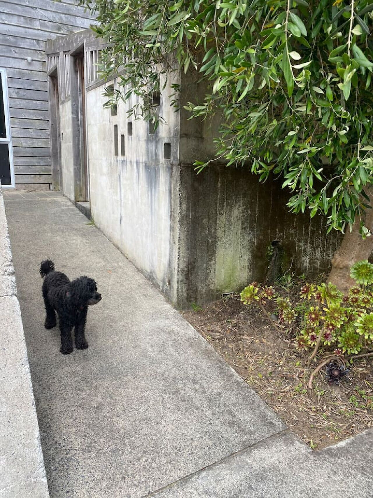 Área da propriedade