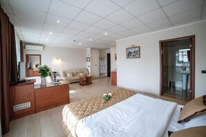 Room - Novi Sad Hotel (Novi Sad)
