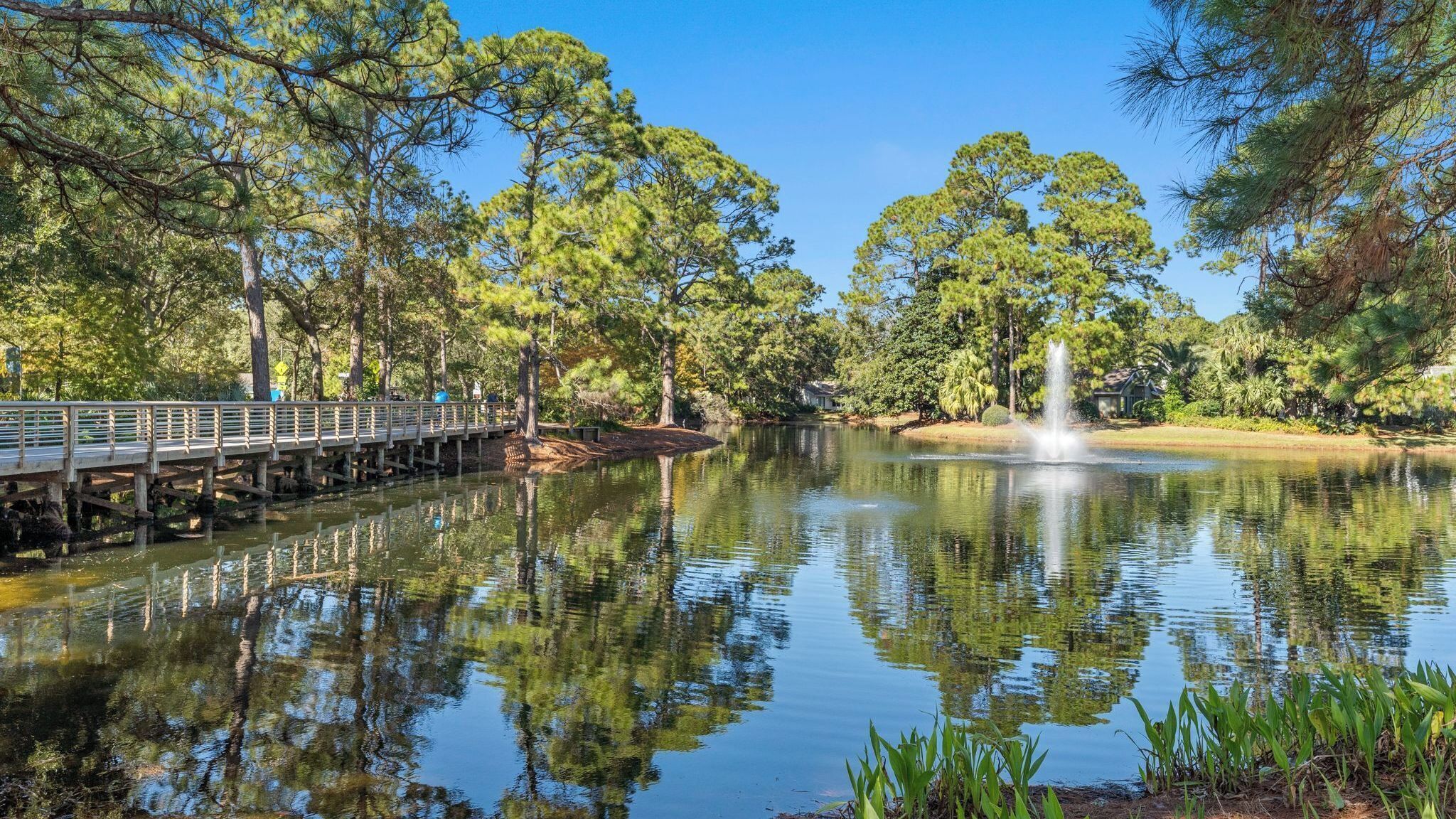 Een rustig meer met een houten brug, omringd door bomen en een fontein.