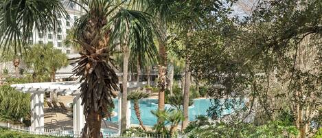 A pool area with palm trees and a building in the background.