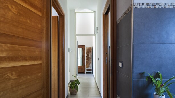 Un pasillo con puertas de madera, una planta en maceta y un muro de azulejos.