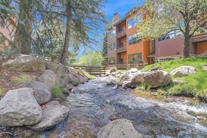 Property grounds - NEW- Monthly Rates For Spring/Summer/Fall - Peaceful Spot Along a Creek (Steamboat Springs)