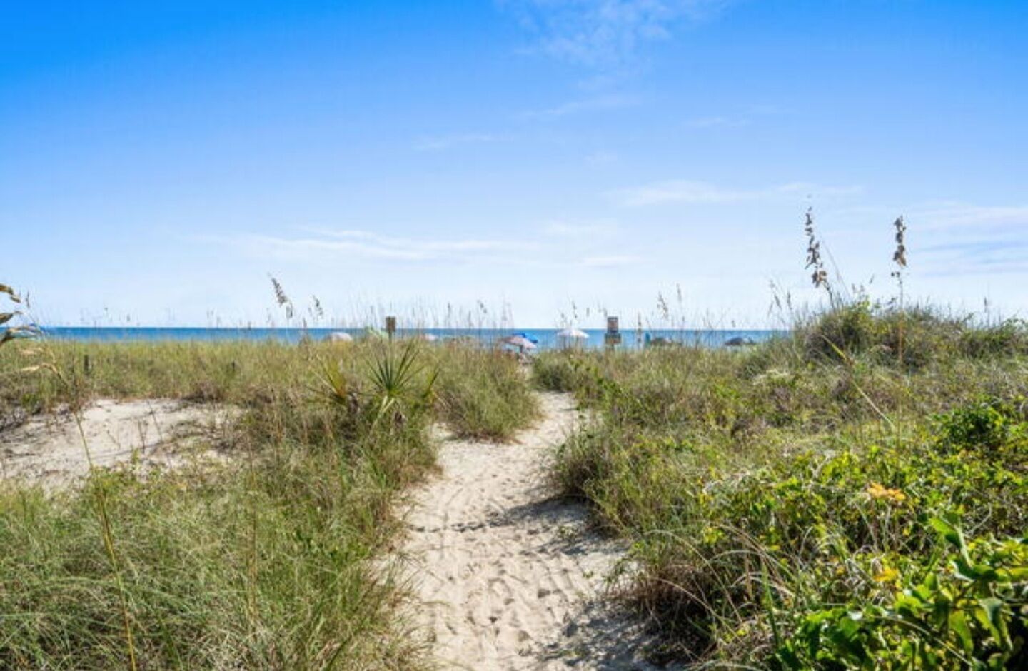 En sti af sand der fører til stranden med sparsom beplantning.