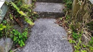 Une rampe d’accès pour fauteuils roulants mène à une maison entourée d’une clôture en bois et dotée d’une fenêtre.