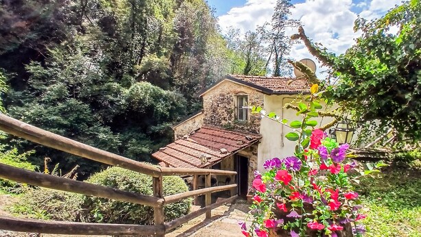 Un rústico edificio de piedra con una escalera de madera que conduce a una puerta, rodeado de abundante vegetación y árboles.