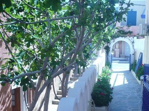 Property grounds - Dilino AND Annex Building (Santorini)