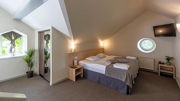 Un dormitorio moderno con cama, mesitas de noche, televisor, ventana con cortinas y una planta en maceta.