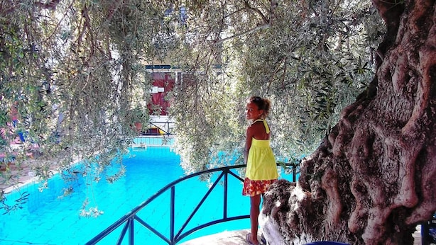 A person standing by a pool with a tree and a bridge in the background.
