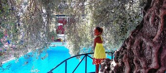 Kastro Studios and Apartments