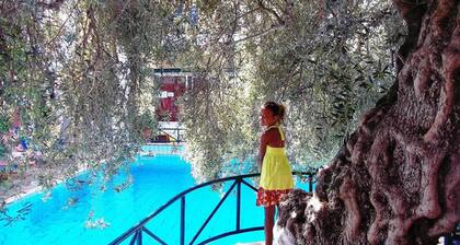 Kastro Studios and Apartments