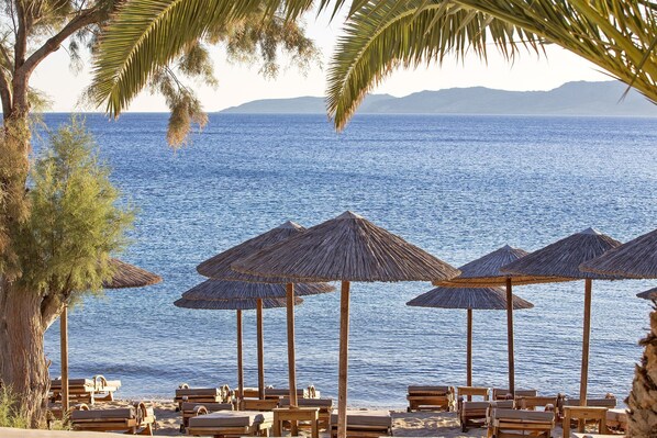 Beach - Delight Boutique Hotel & Spa (Mykonos)